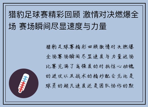 猎豹足球赛精彩回顾 激情对决燃爆全场 赛场瞬间尽显速度与力量